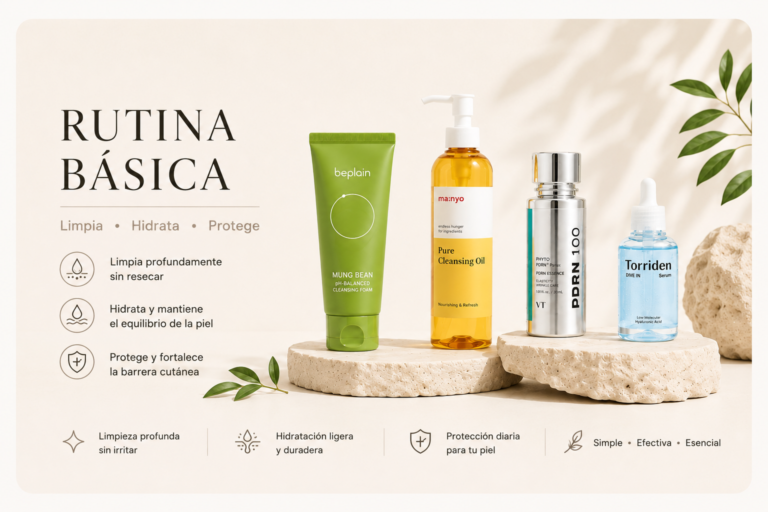 Rutina Basica